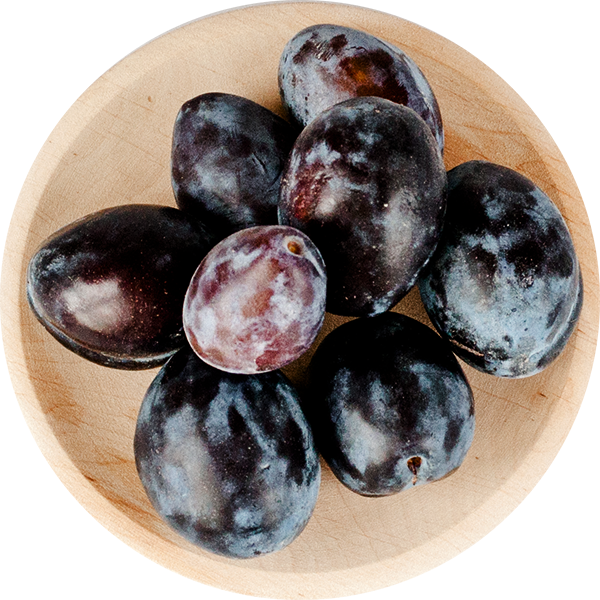 Stanley Plums